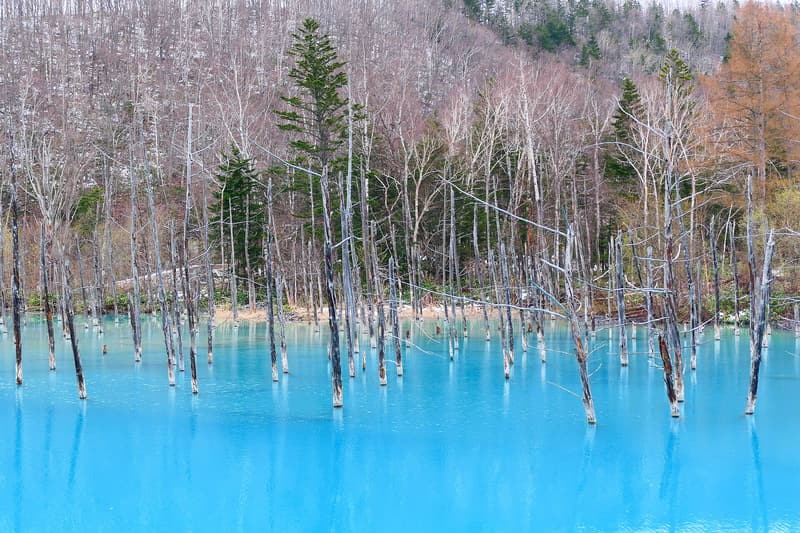 美瑛(北海道)の風景