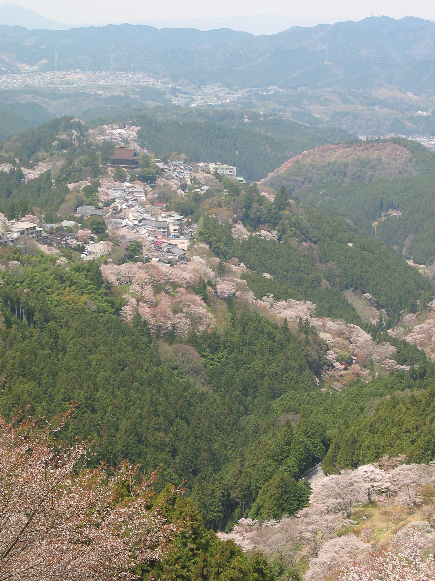 吉野・黒滝(奈良)の風景(イメージ)