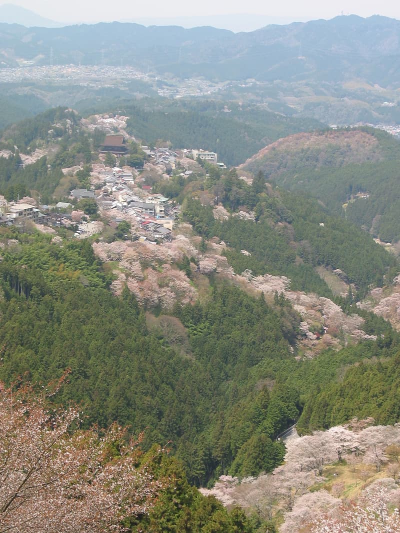 吉野・黒滝(奈良)の風景