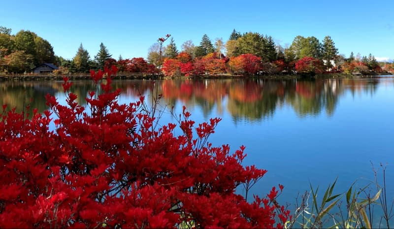 八ヶ岳を望むasa YATSUGATAKE(画像未取得)
