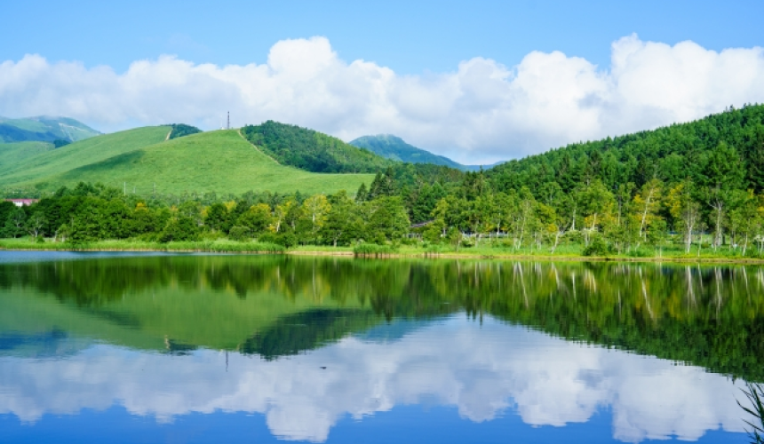 asa YATSUGATAKE(アサ 八ヶ岳)(公式写真3)