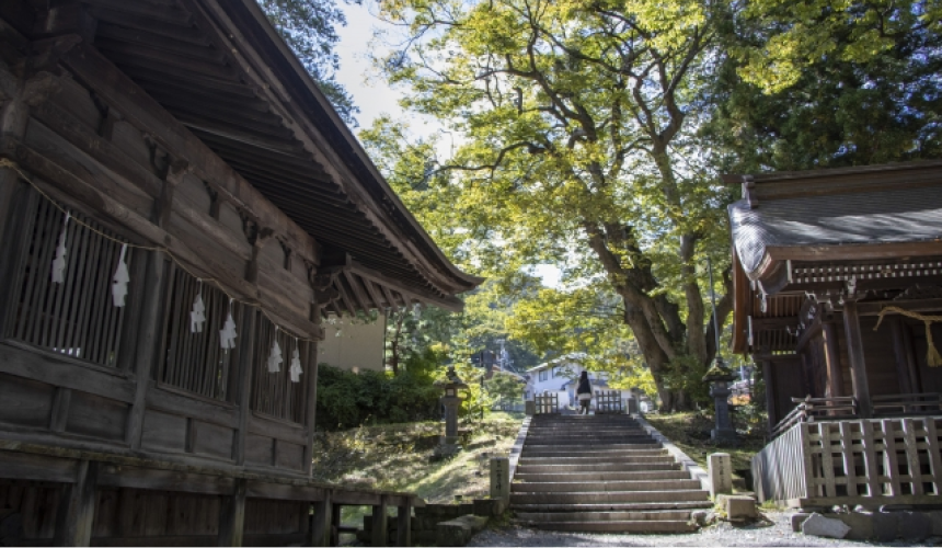 asa YATSUGATAKE(アサ 八ヶ岳)(公式写真5)