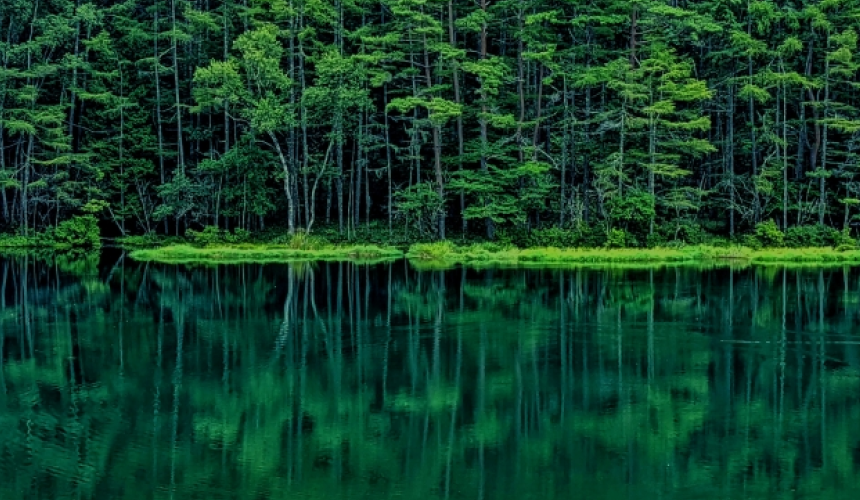 asa YATSUGATAKE(アサ 八ヶ岳)(公式写真6)