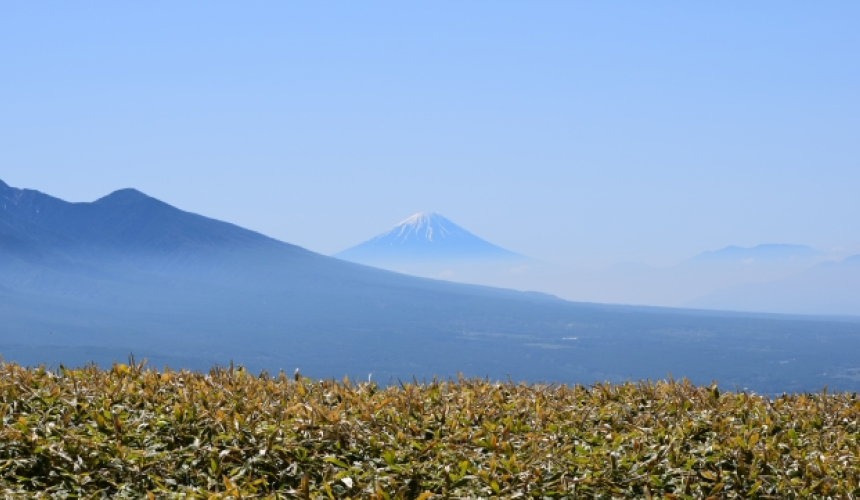 asa YATSUGATAKE(アサ 八ヶ岳)(公式写真8)