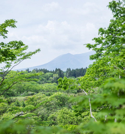 COCO VILLA 那須高原(公式写真2)