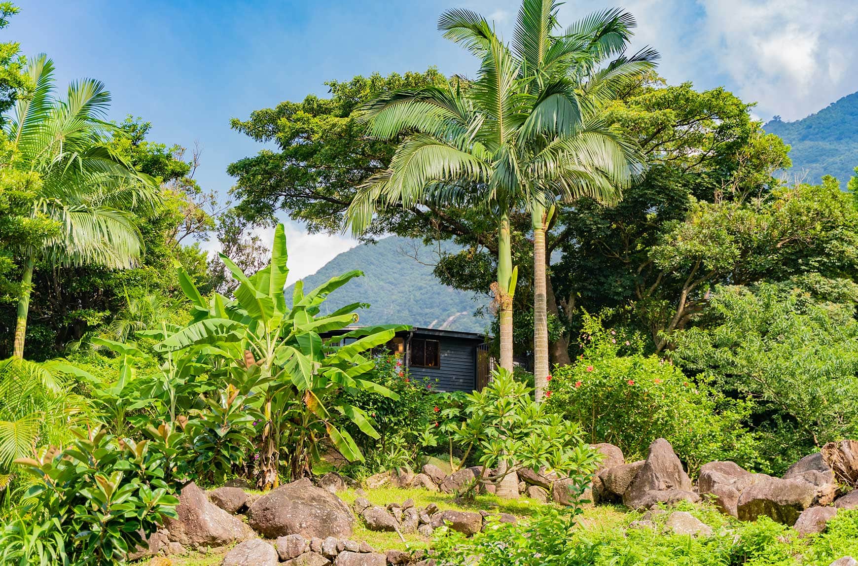 Cottage Views(コテージビューズ)屋久島(公式写真9)