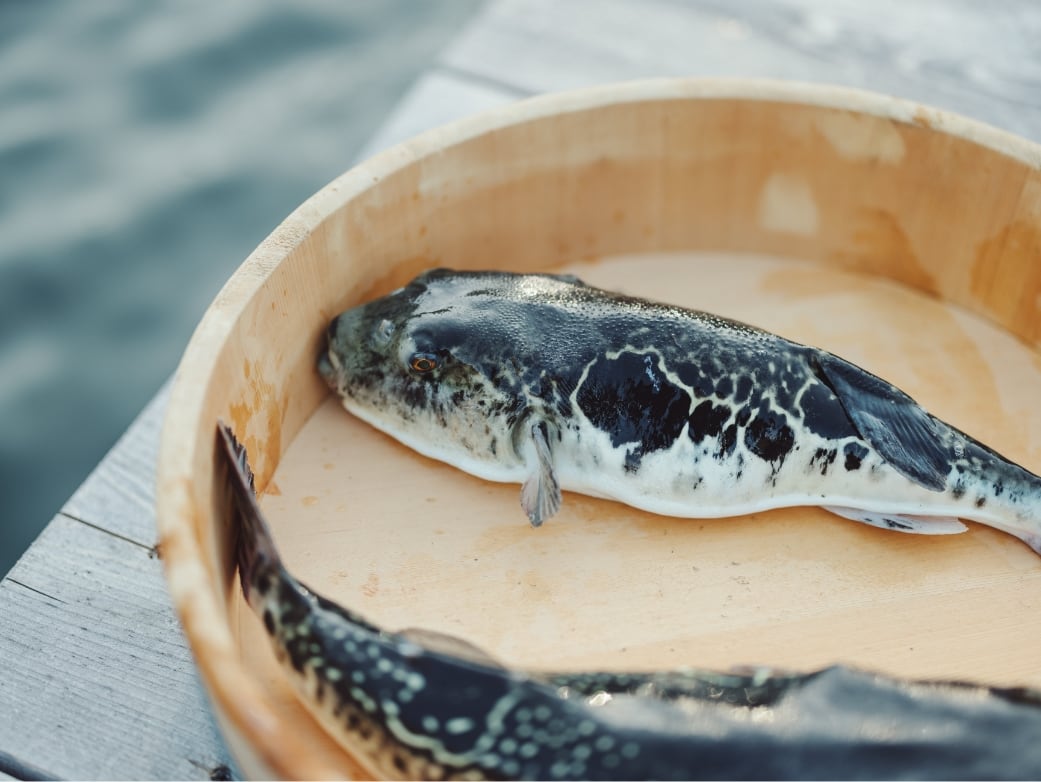COVA KAKUDA(コーヴァ カクダ)伊勢志摩(公式写真6)