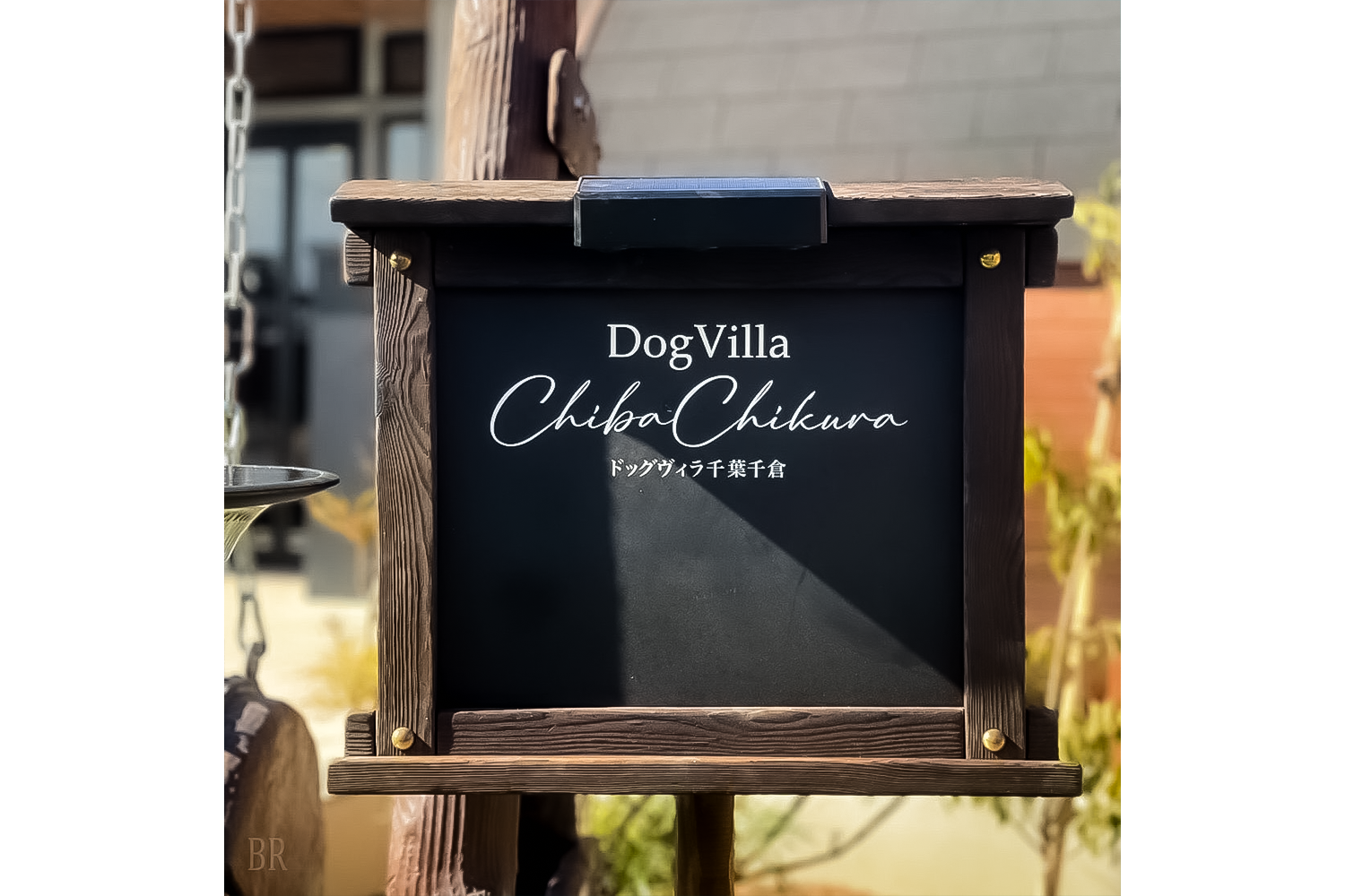 千倉Dog Villa(公式写真13)