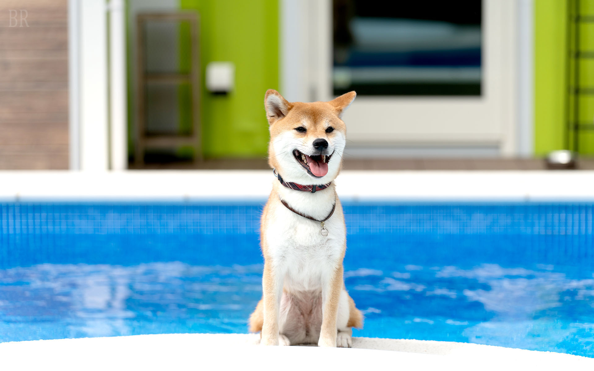 f.f.Vacation House Green(公式写真2)