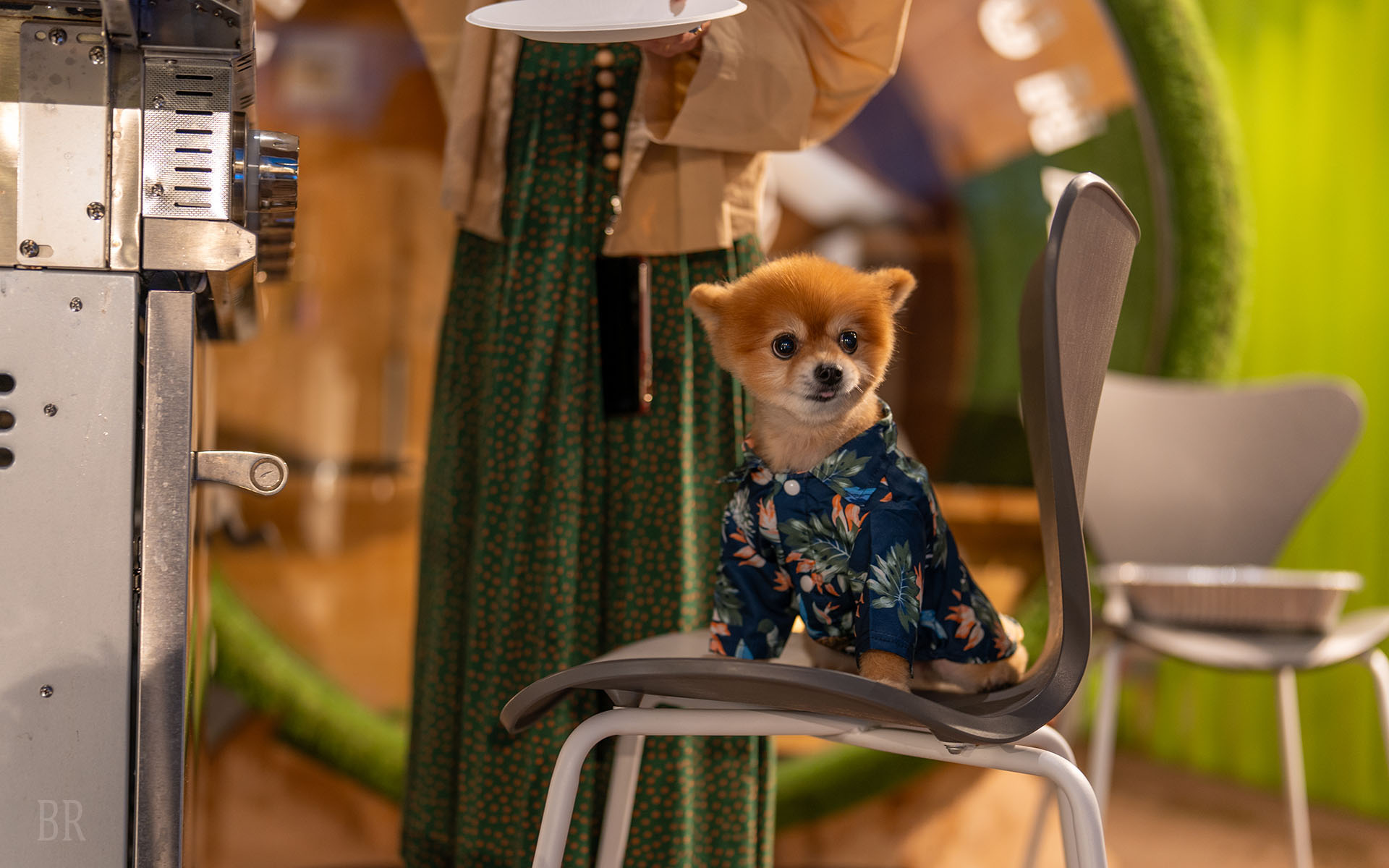 f.f.Vacation House Green(公式写真4)