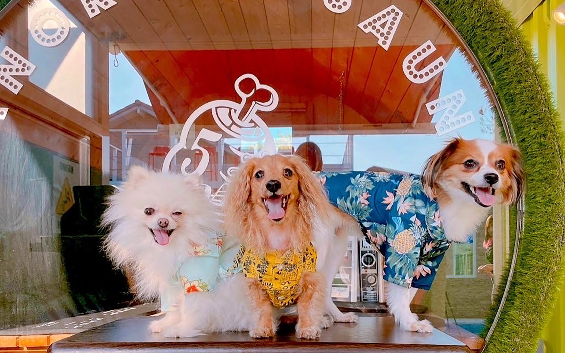 f.f.Vacation House Green(公式写真6)
