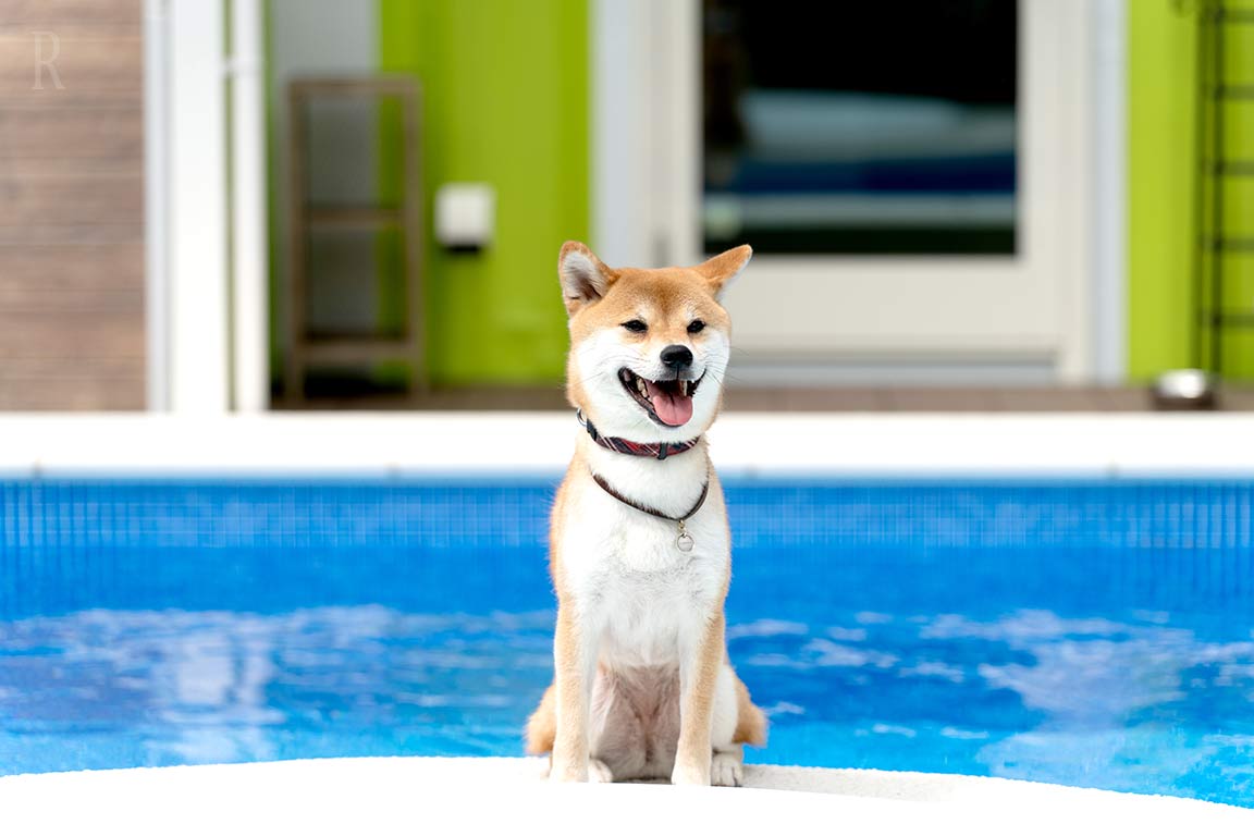 f.f.Vacation House Green(公式写真12)