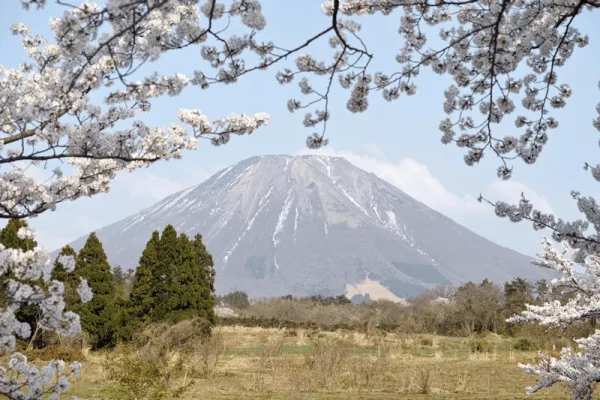 フォレストハウスだいせん(Forest House DAISEN)(公式写真4)