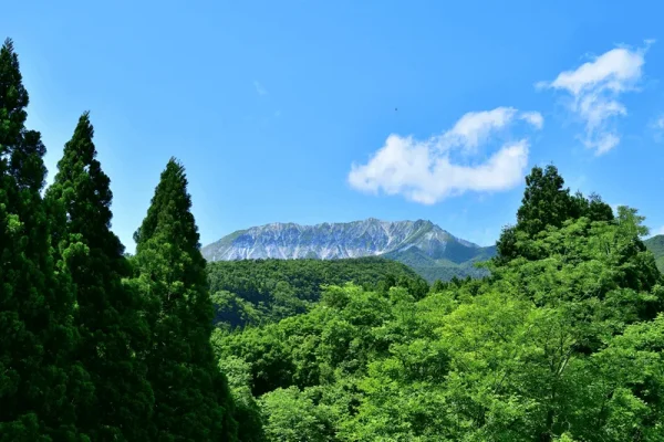 フォレストハウスだいせん(Forest House DAISEN)(公式写真5)