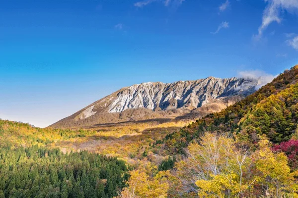 フォレストハウスだいせん(Forest House DAISEN)(公式写真6)