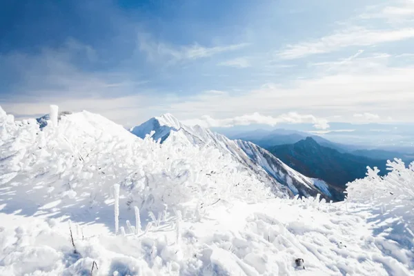 フォレストハウスだいせん(Forest House DAISEN)(公式写真7)