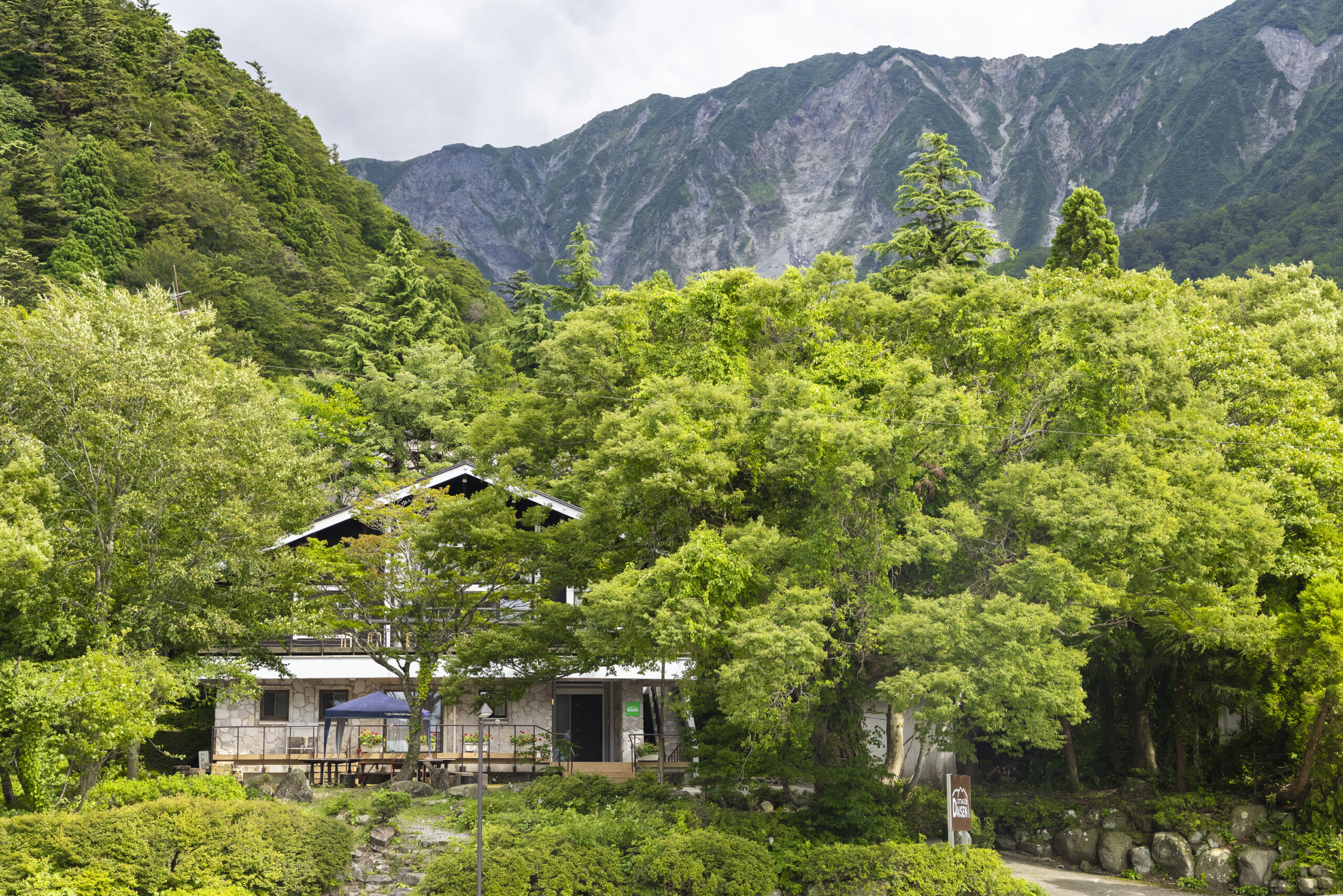 フォレストハウスだいせん(Forest House DAISEN)(公式写真8)