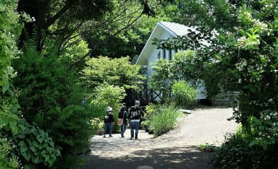 阿蘇五岳を望むガーデンvilla南阿蘇(画像未取得)