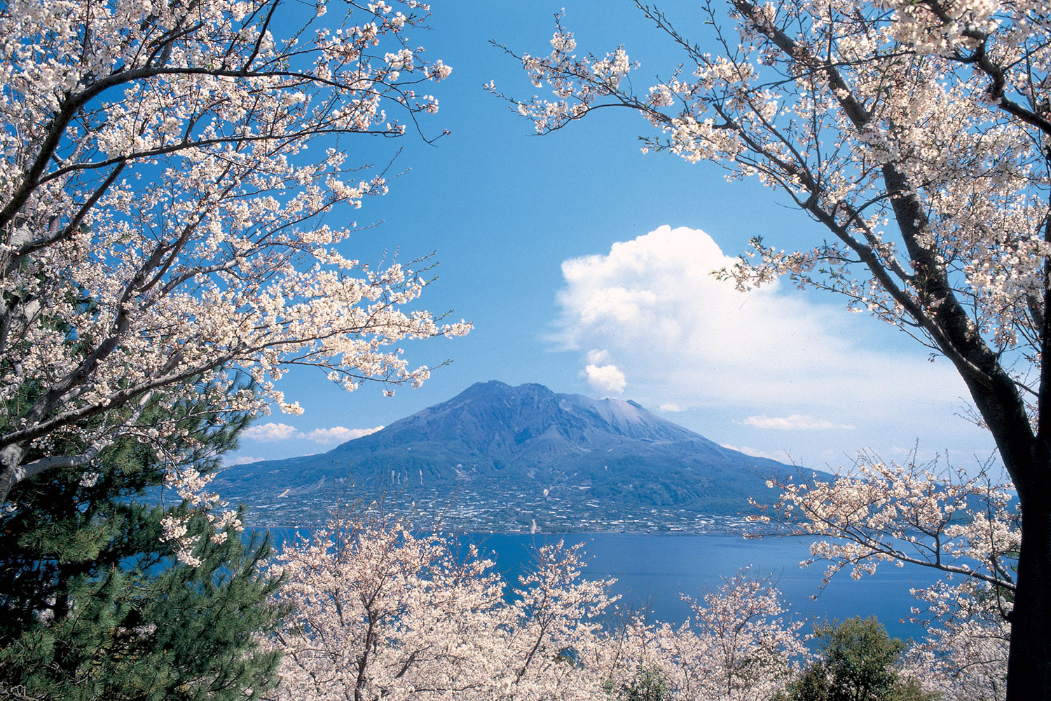 プライベートヴィラ鹿児島 Genkouの森(公式写真23)