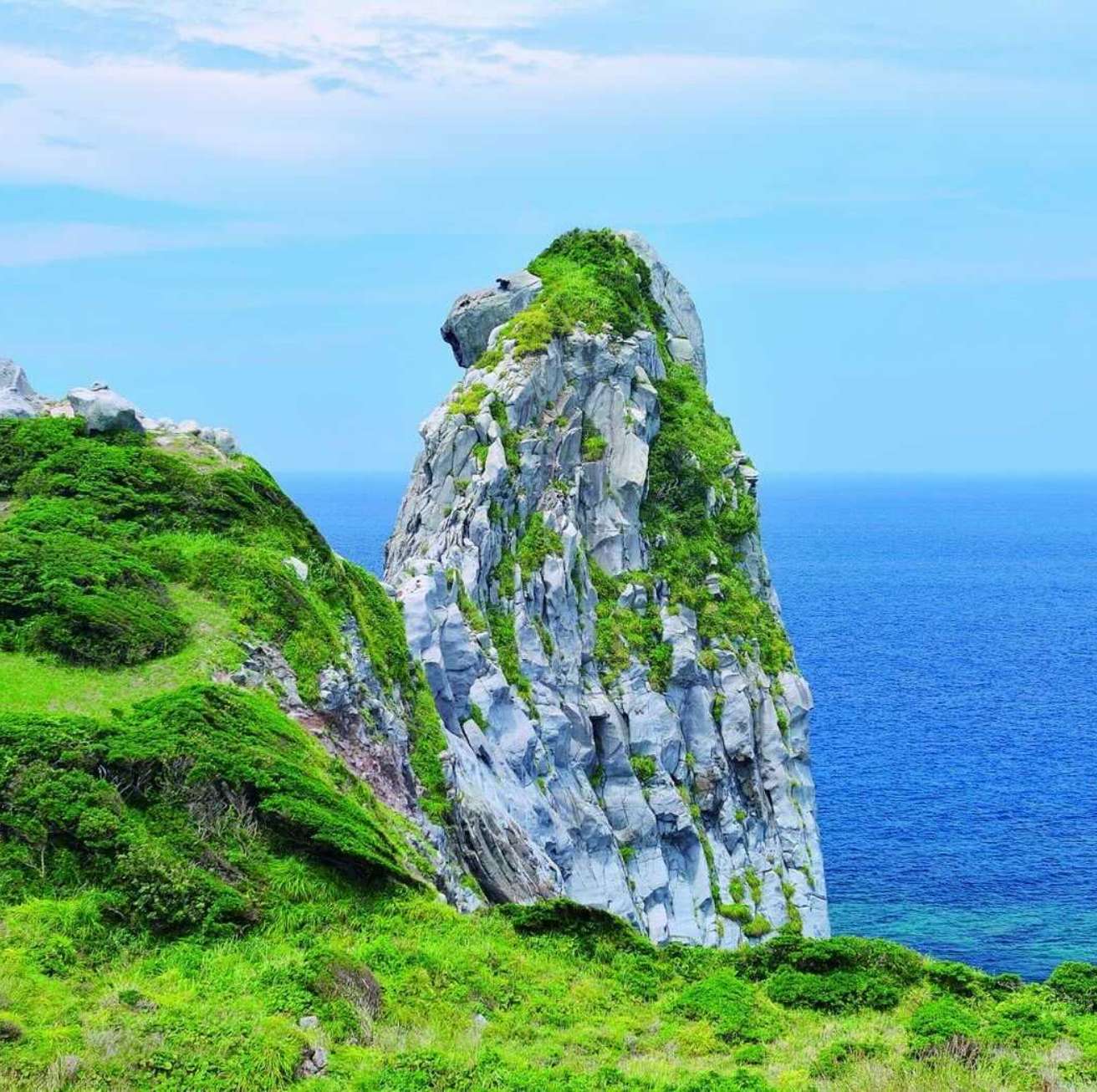 GIFTHOUSE 三浦 諸磯(公式写真7)
