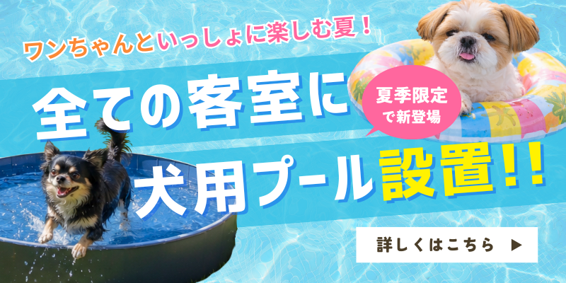 ドッグヴィラ広島(公式写真10)