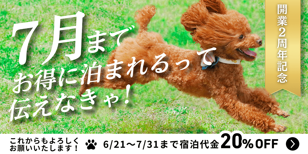 わんことお宿 広島草津荘(公式写真13)