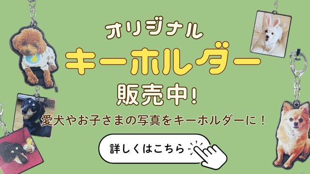AKAGI GLAMPING VILLAGE(公式写真12)