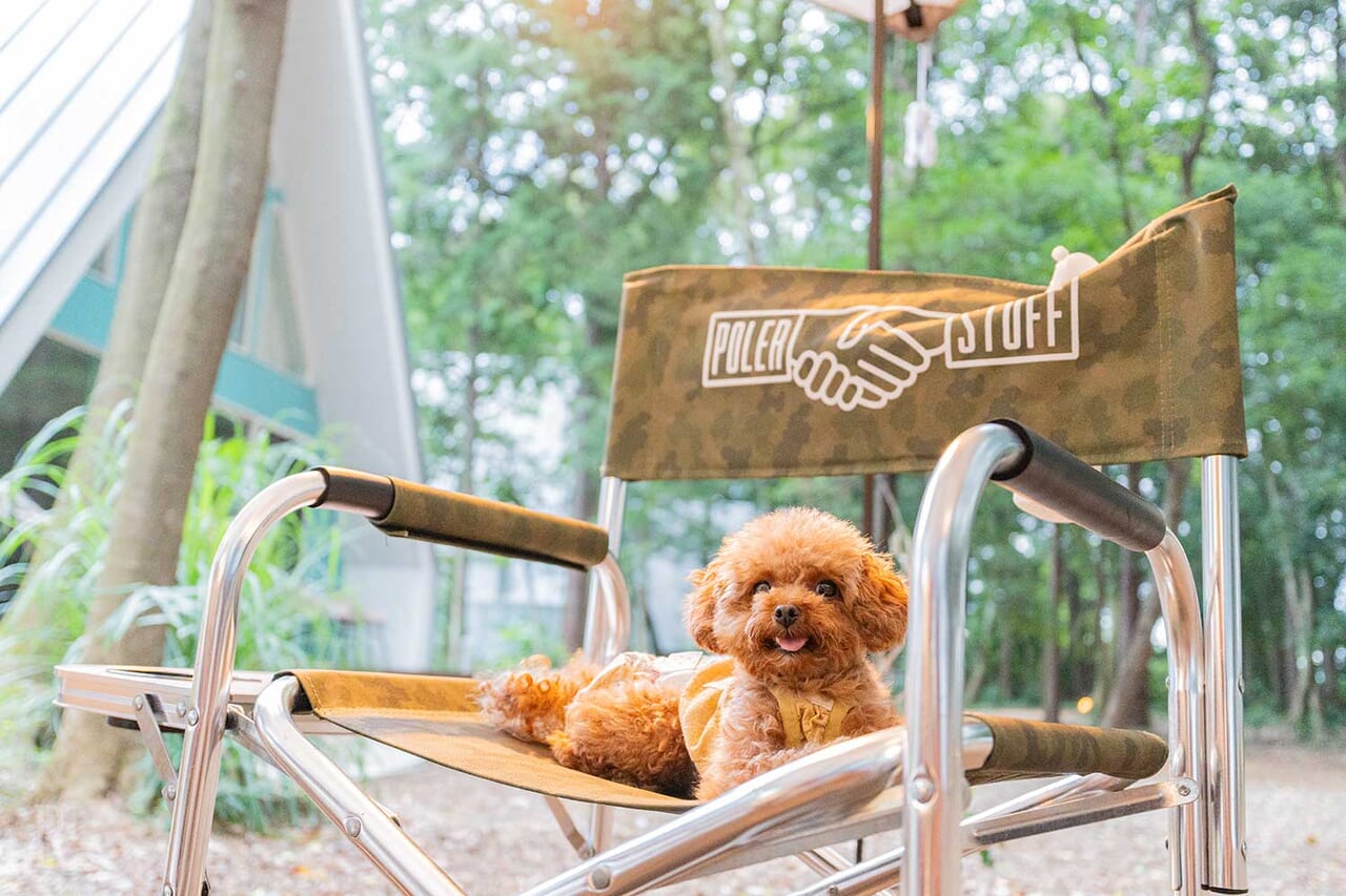 ALOHA GLAMPING RESORT SAKAI(公式写真18)