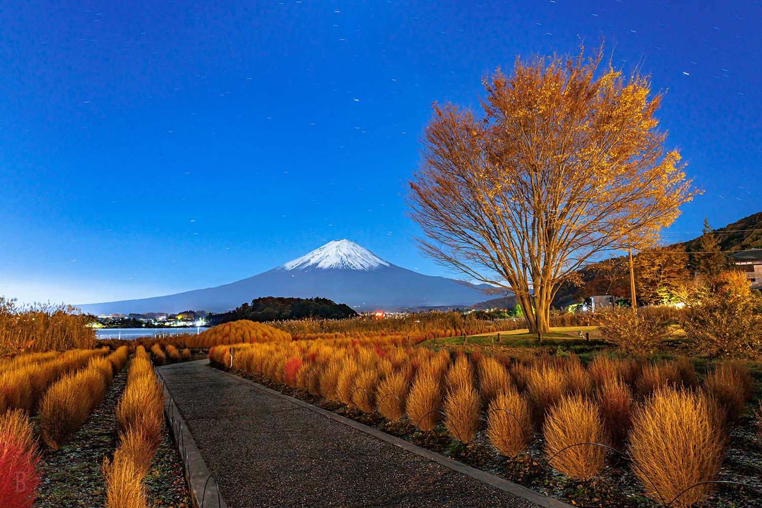 グランピングB&V富士山河口湖(公式写真11)