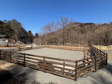 秩父定峰清流キャンプ場(公式写真13)