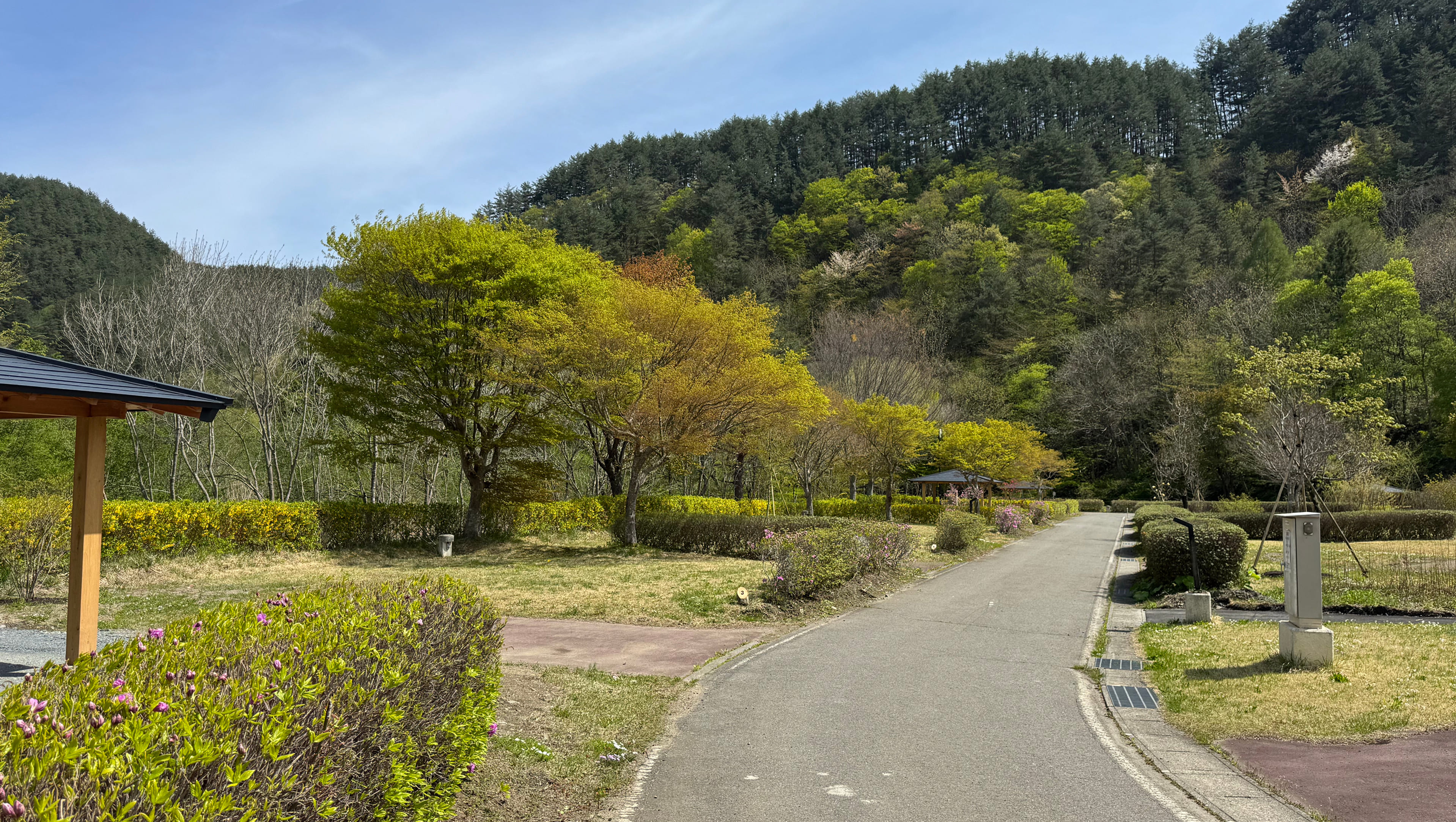 CYMBALS シンバルス(公式写真23)