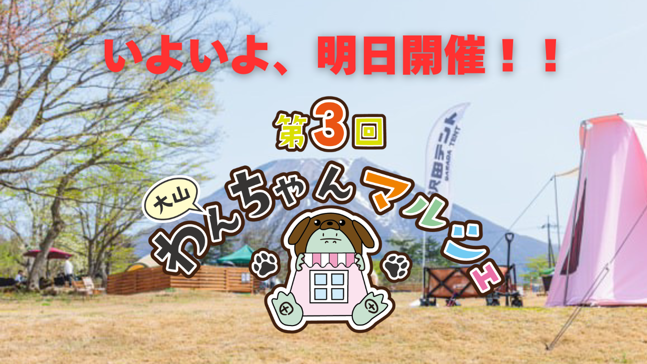 DAISEN RESORT 沢田ベース(公式写真9)