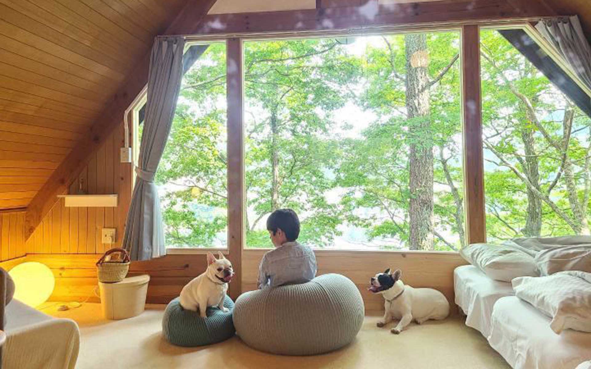 広島ドッググランピング 温井ダムリゾート(公式写真3)