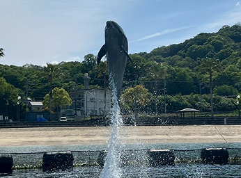 ドルフィンファームしまなみ(公式写真9)
