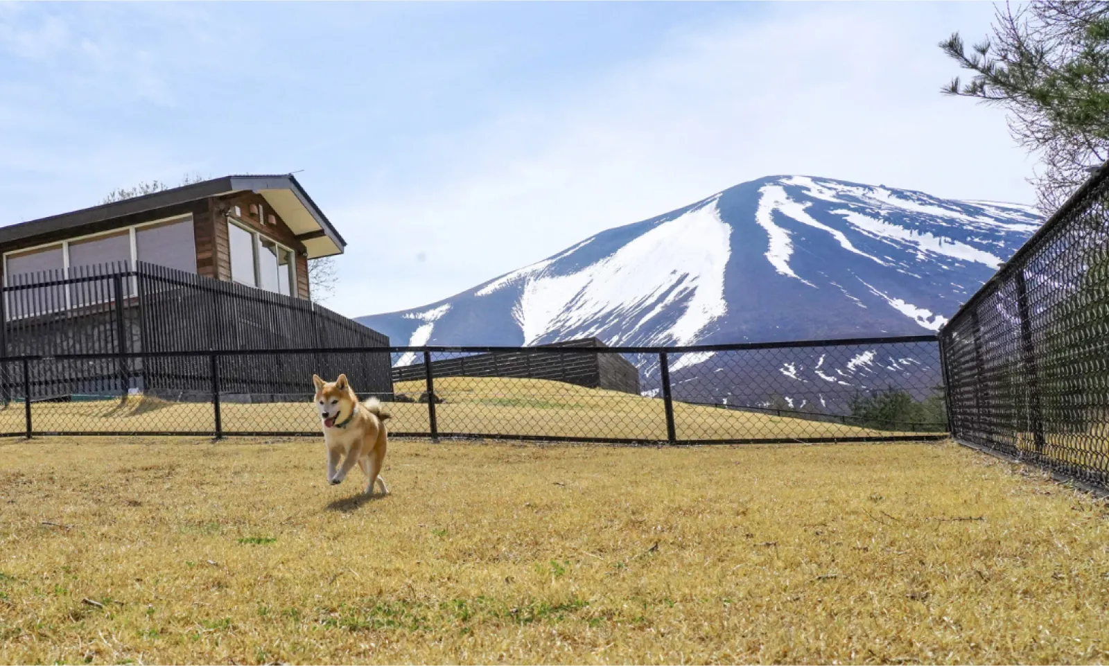 Dot Glamping 北軽井沢(公式写真12)