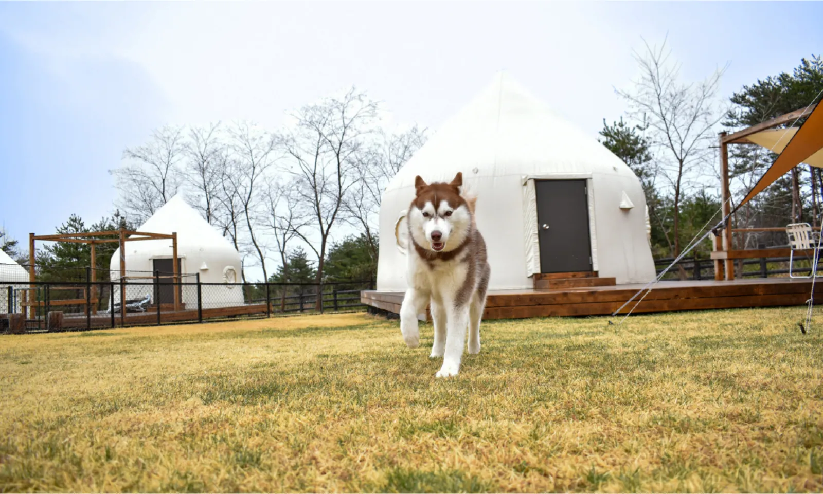 Dot Glamping 北軽井沢(公式写真13)
