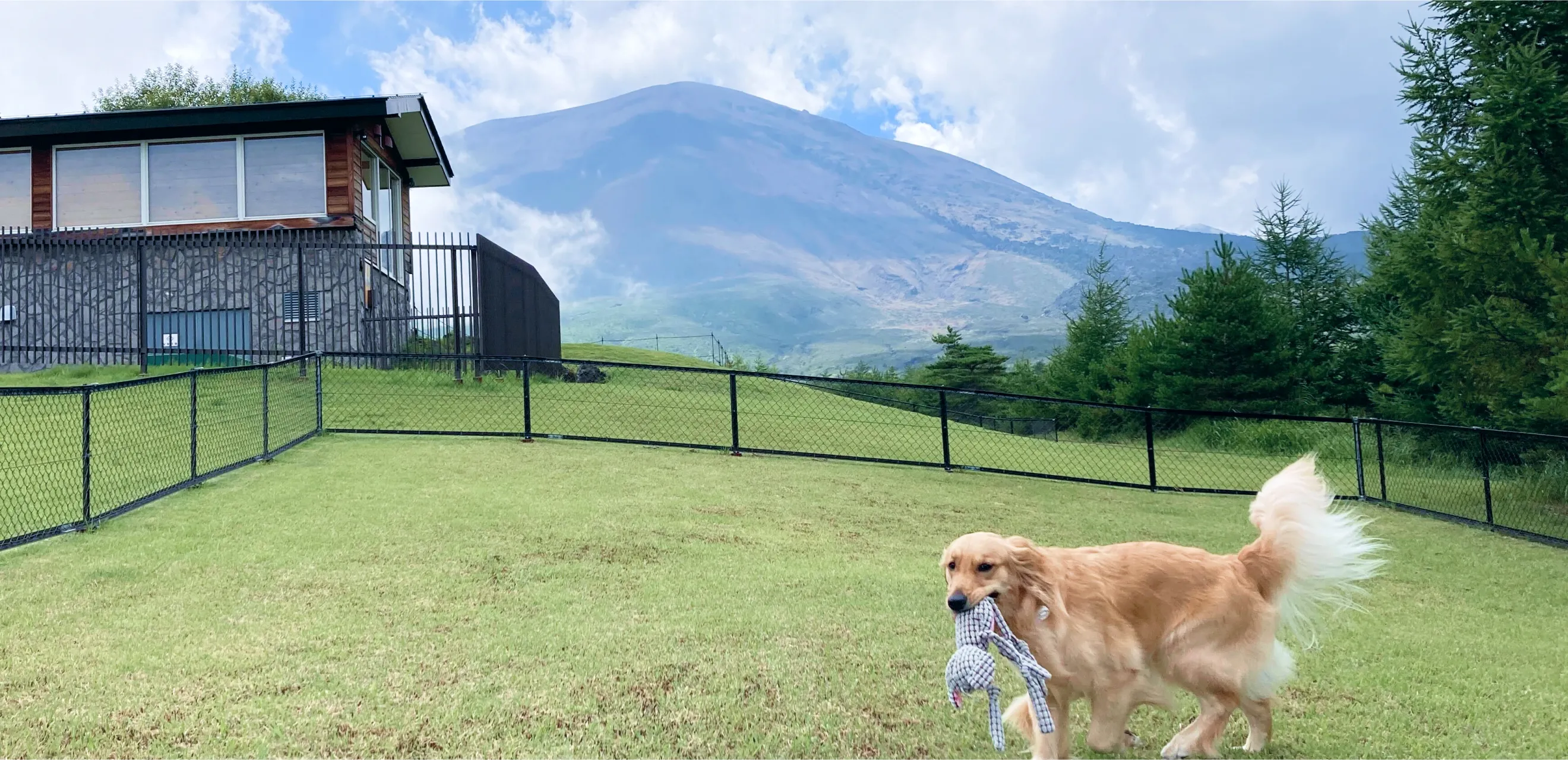 Dot Glamping 北軽井沢(公式写真14)
