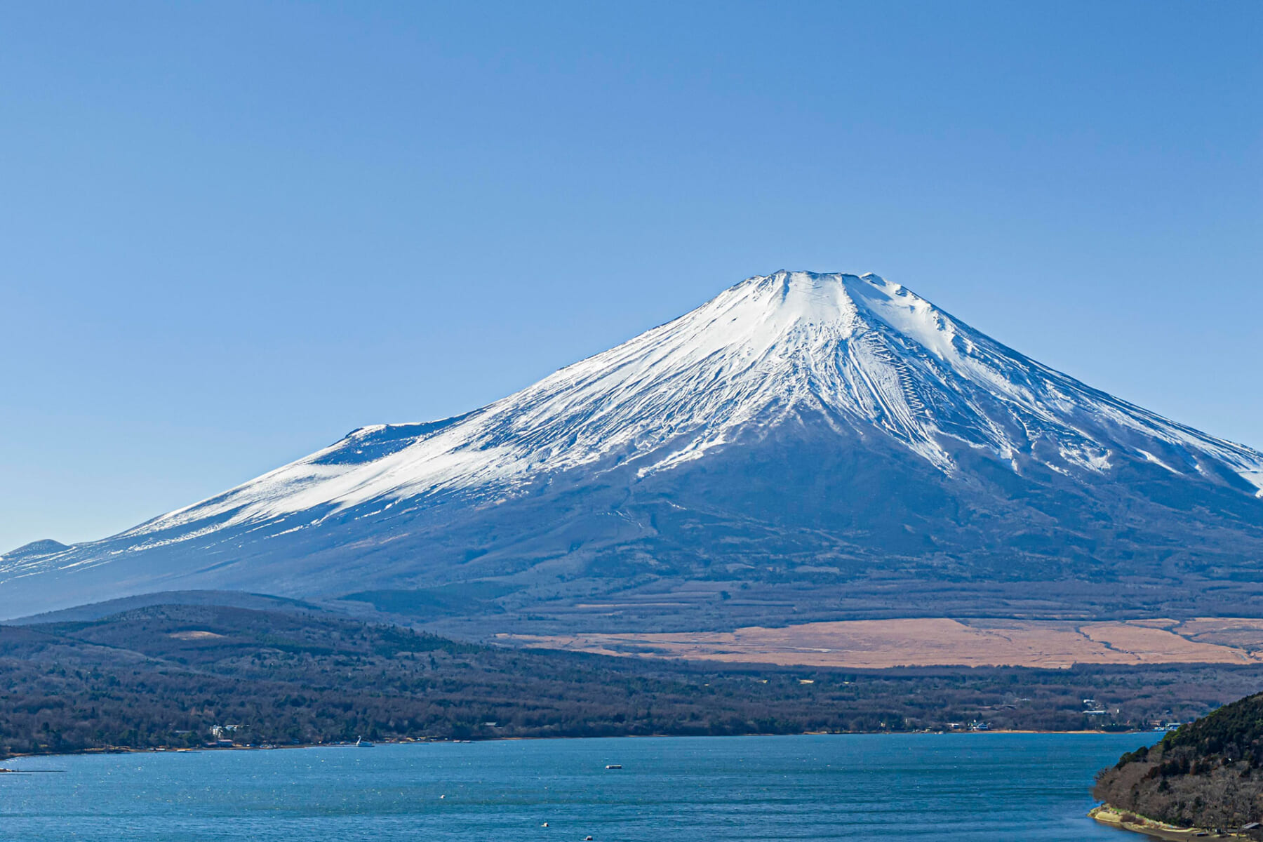 Forest Side 山中湖(公式写真5)