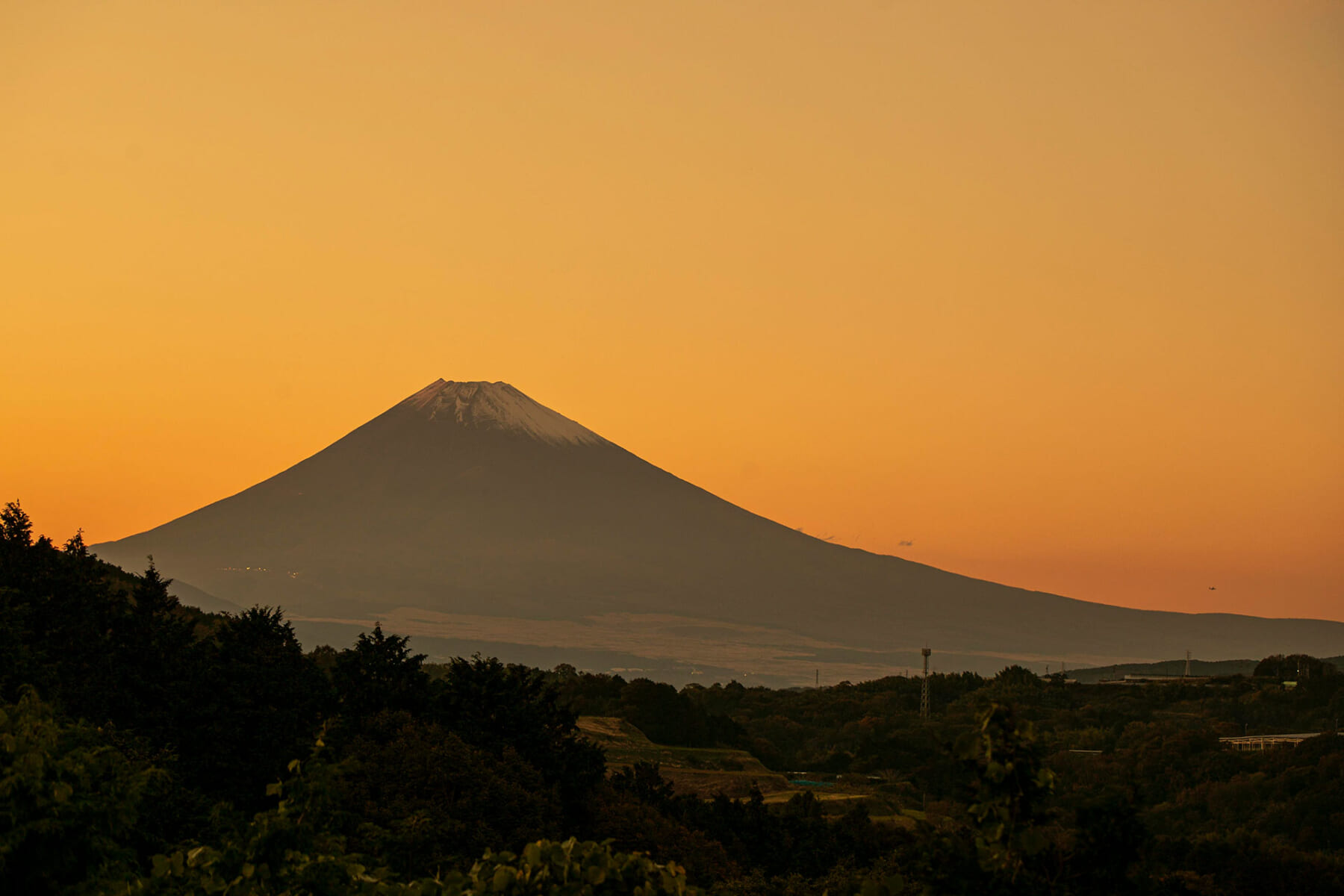 Forest Side 山中湖(公式写真9)