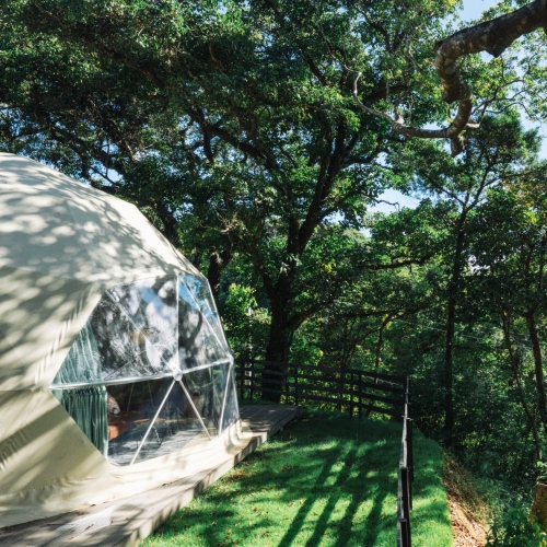 GLAMFOREST OKINAWA 名護(公式写真9)