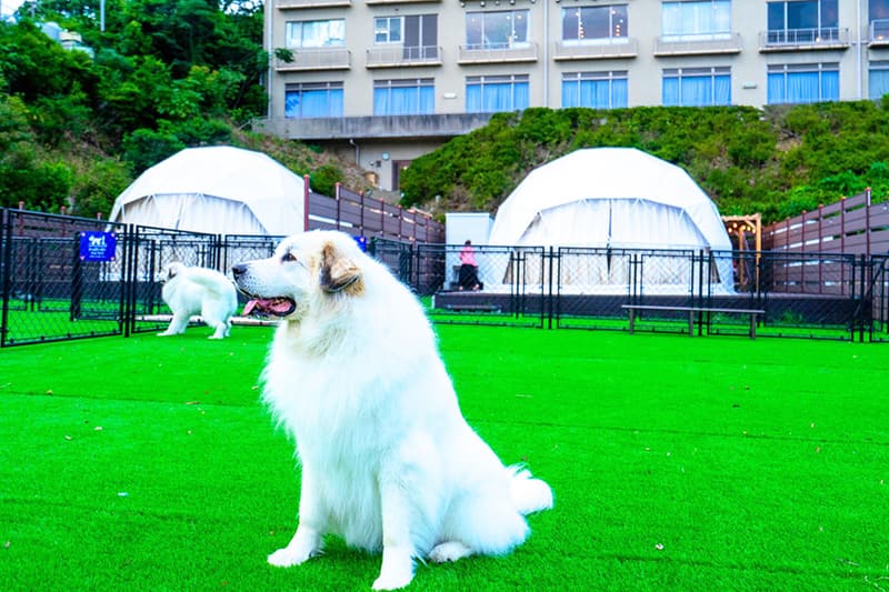 glampark 海陽閣