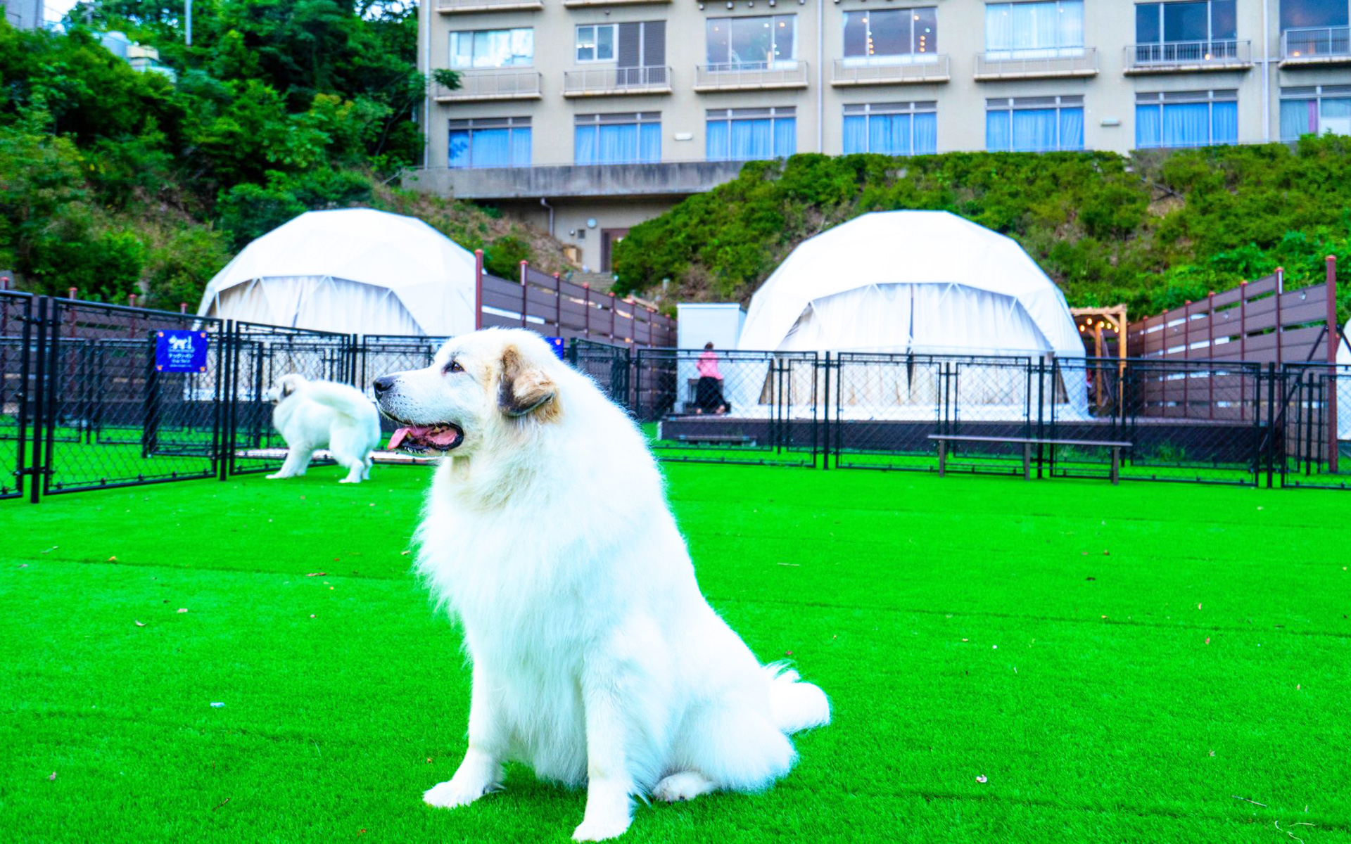 glampark 海陽閣(公式写真6)