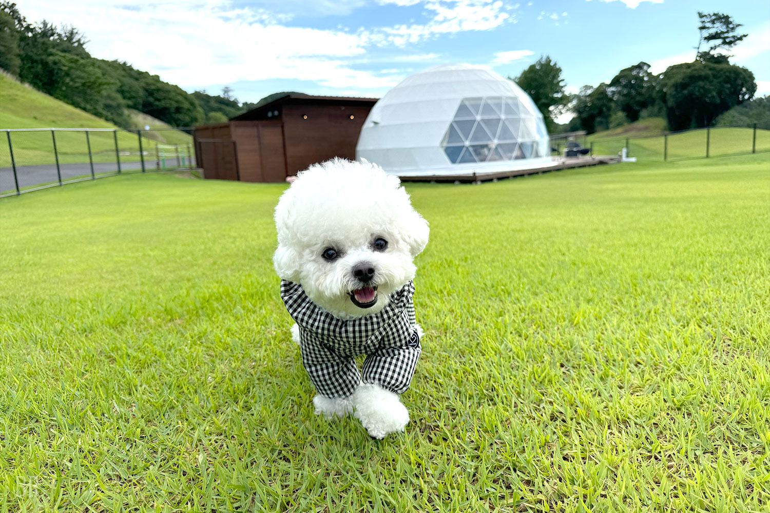 志摩グリーンアドベンチャー GLAMPING FIELD(公式写真15)