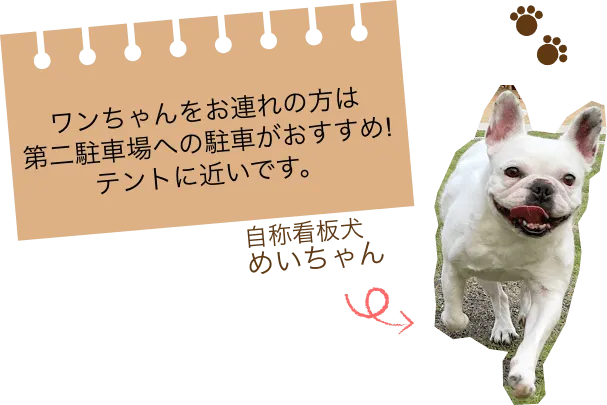 Glamping＆Port 結(公式写真10)