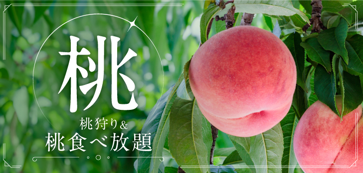 GLAMPROOK 飯綱高原(公式写真22)