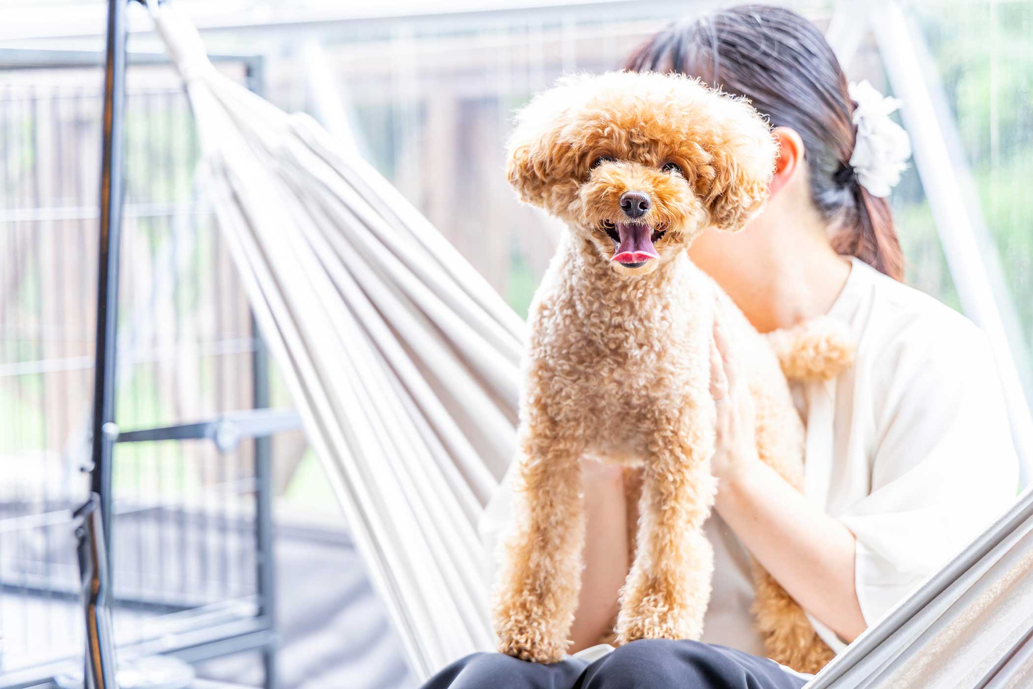 グランドーム砂優-sayu(公式写真15)