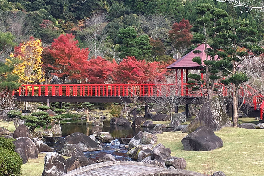 グランピングヒル八面山荘(公式写真11)