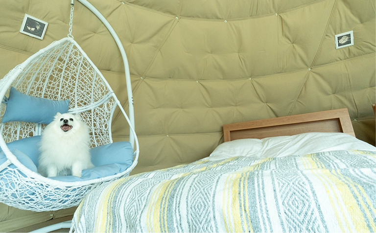 HANABUSA DOGlamping(公式写真3)