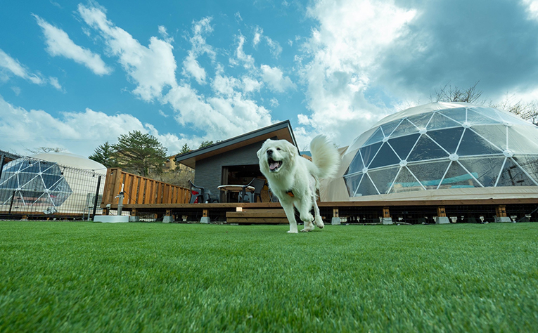 HANABUSA DOGlamping(公式写真5)