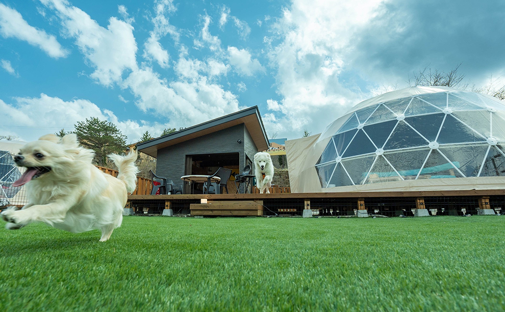 HANABUSA DOGlamping(公式写真9)